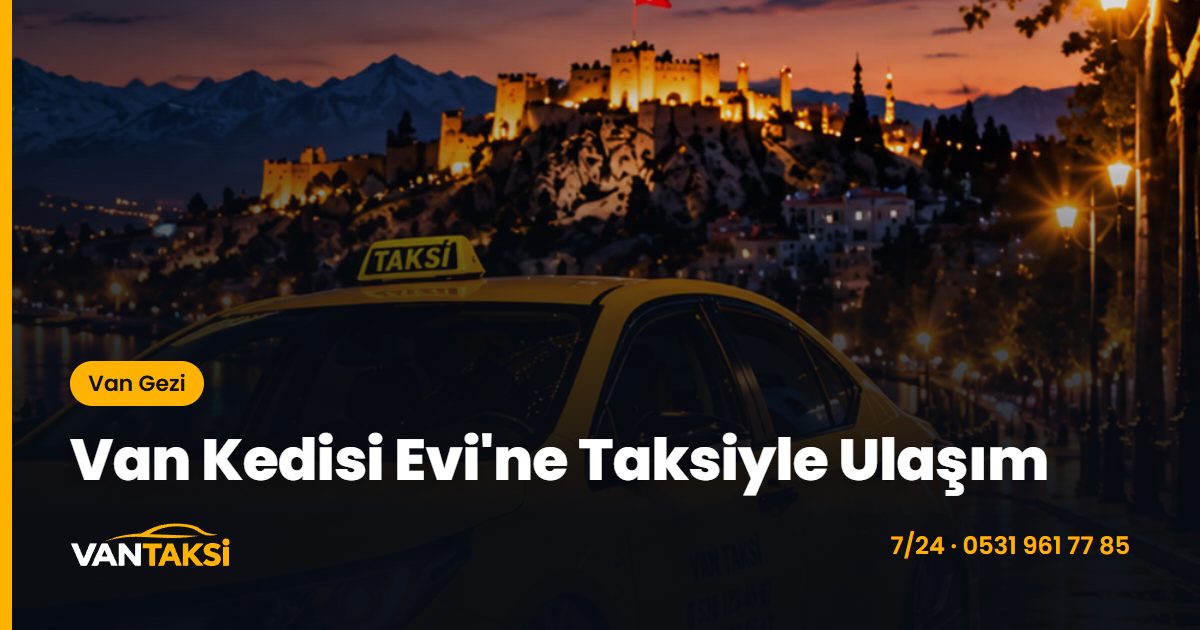 Van Kedisi Evi'ne Taksiyle Ulaşım